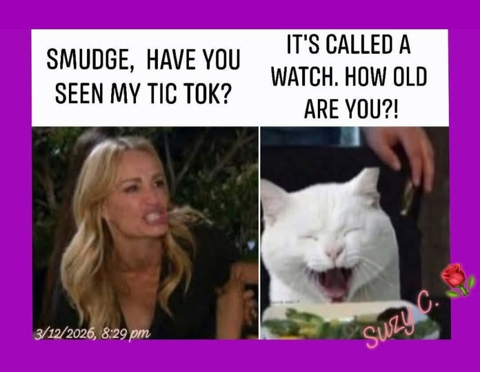 TOMCATCO tweet media