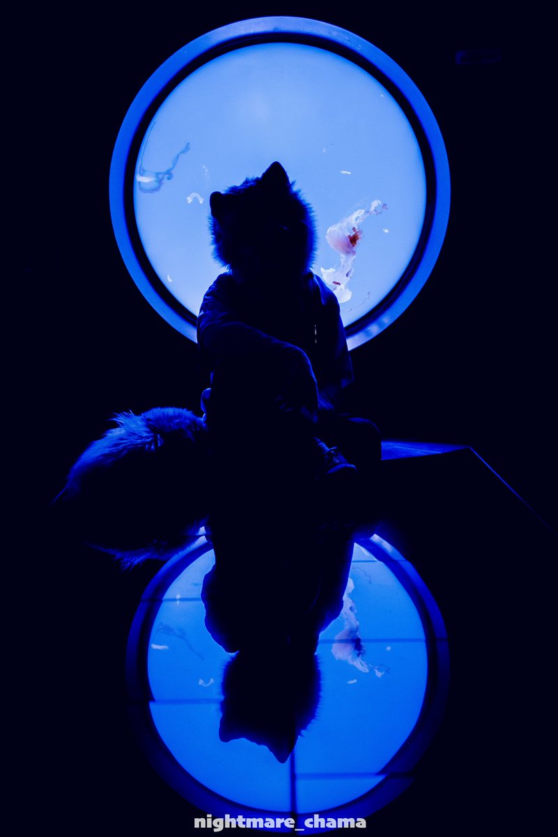 ナッツ​(Nuts)🔩 tweet media