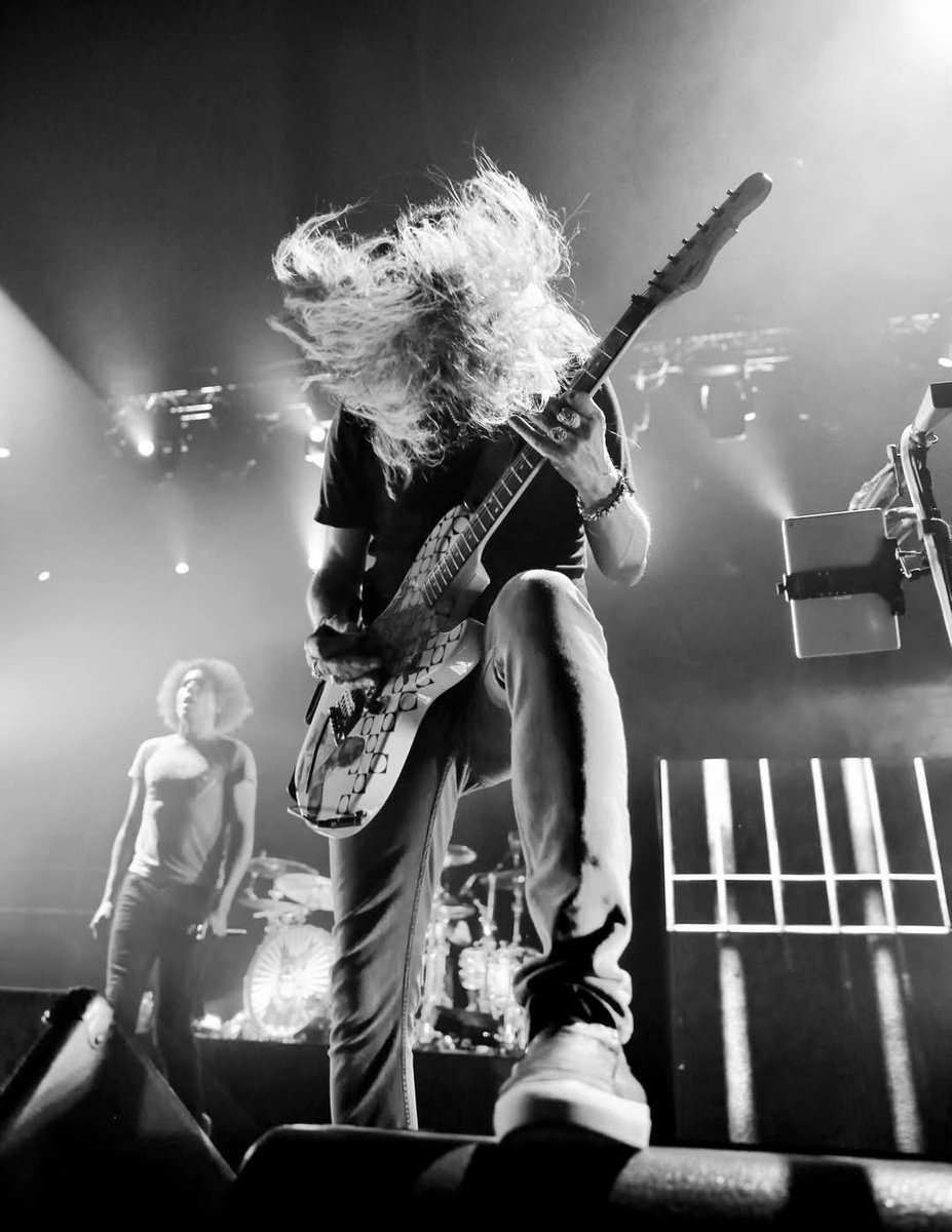 mag 🎶 tweet media