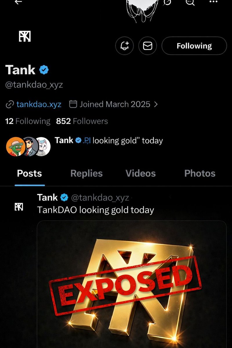 Tiger_Aspect tweet media