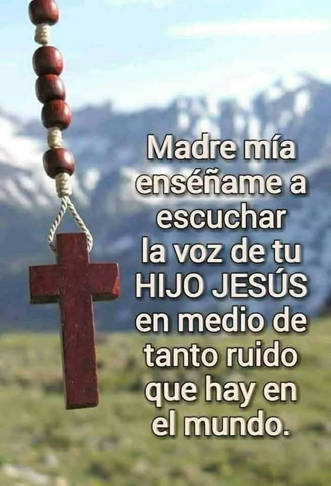 Meditar y vida tweet media