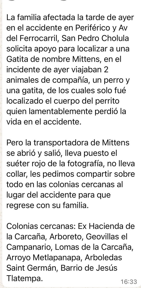 Oceanican tweet media