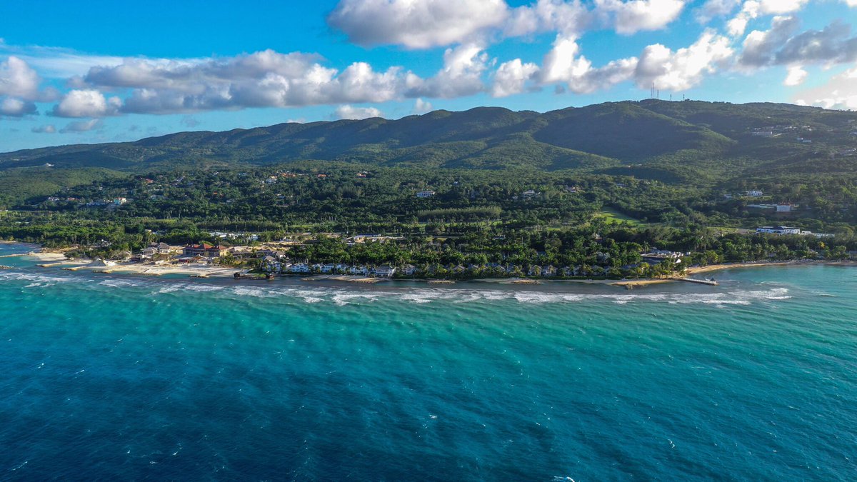 The Voice Newspaper tweet media