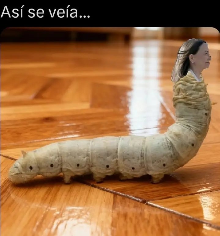 Cacure_ARRECHO's tweet photo. @Arr3ch0 También hay oooooootro rumor de que la LARVA ENFERMA PSIQUIÁTRICA y SÁDICA de la SAYONA con ERRRRRRRRRRRRR HUECO derrrrrrrrrrrr KULO llegará a Miraflores jajajaja jajajaja jajajaja jajajaja jajajaja jajajaja https://t.co/4lOxt6Xenj