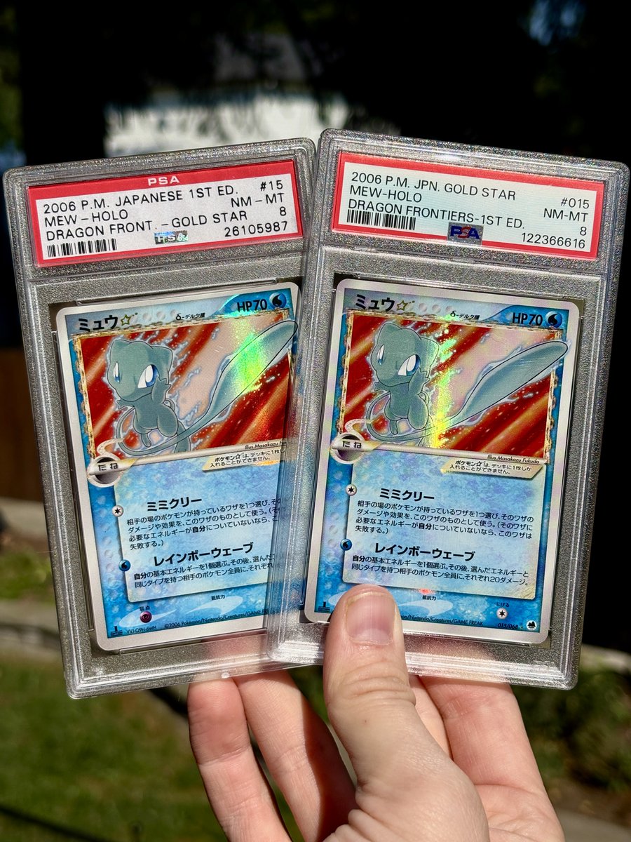 DachshundWizard 🧙‍♂️ tweet media