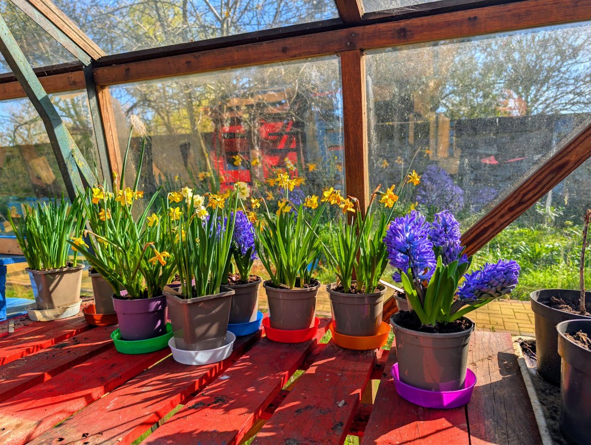 lightprojectpeterborough tweet media