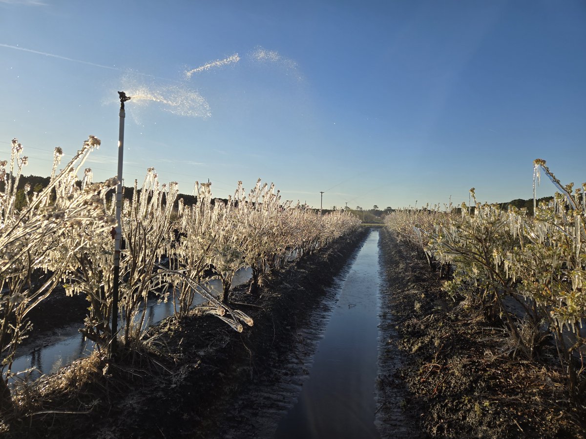 The IR-4 Project tweet media