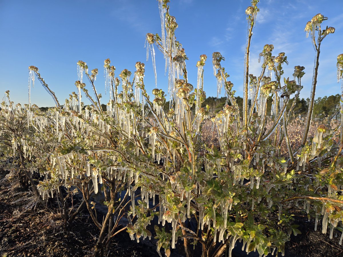 The IR-4 Project tweet media