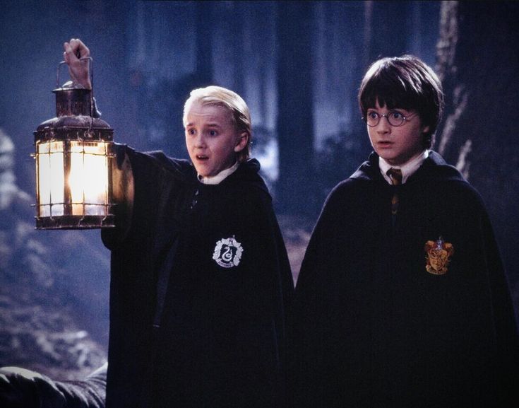 유성몽 tweet media