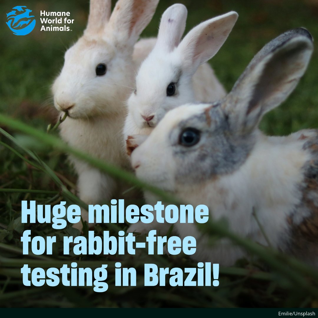 Humane World End Animal Testing tweet media