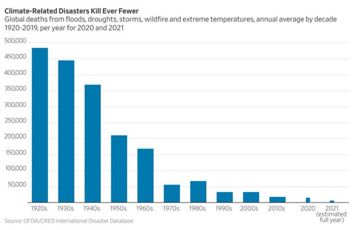 Golden Age Pureblood tweet media