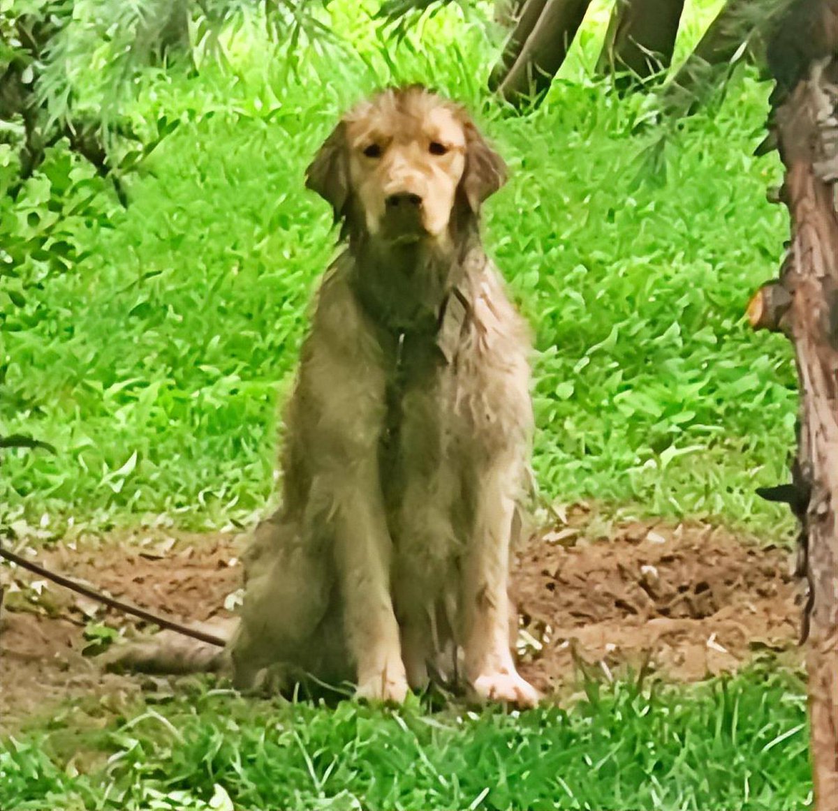 Integral Coach tweet media