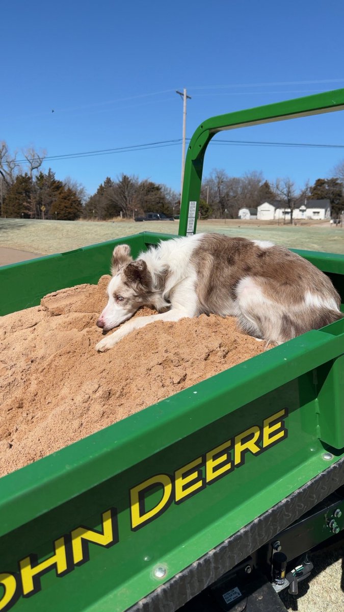 Colten Person tweet media