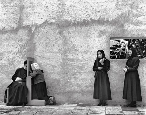 Douglas R. Arcoleo tweet media