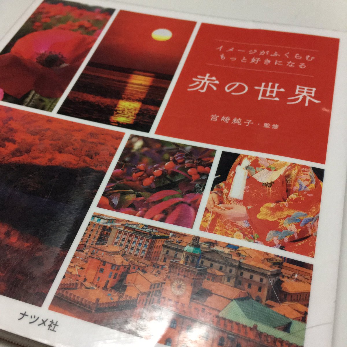 図書館で
素敵な本を
見つけまして。

今年も引き続き、
赤色を推していきたい
所存です