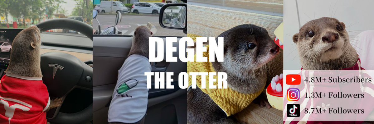Degen Lovely Otter tweet media