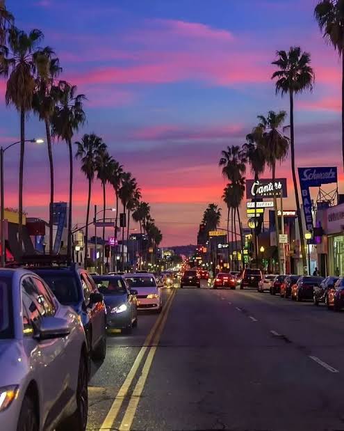 World Insights tweet media