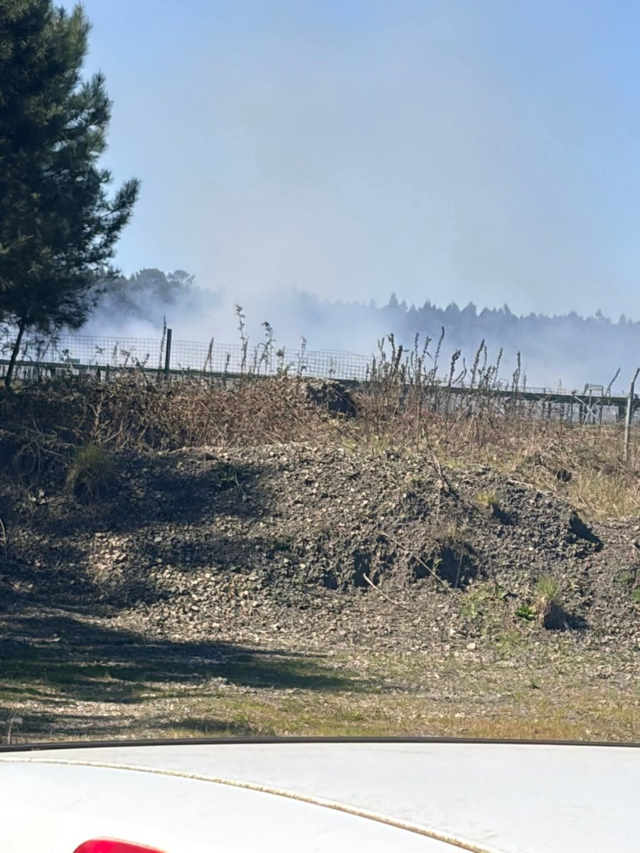 Association Prévention & Signalement Feux De Forêt tweet media