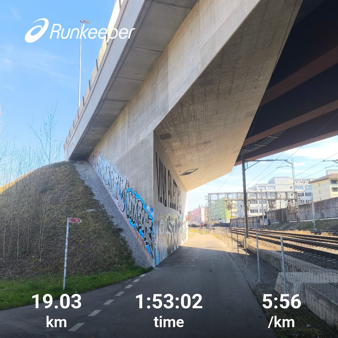 Forest Runner tweet media