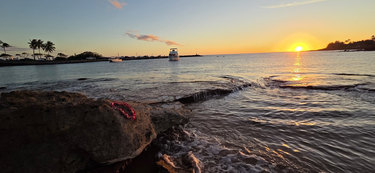 Poe Aloha tweet media