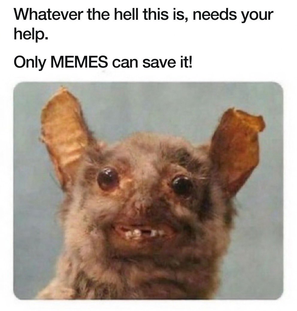 GnosisWolf tweet media