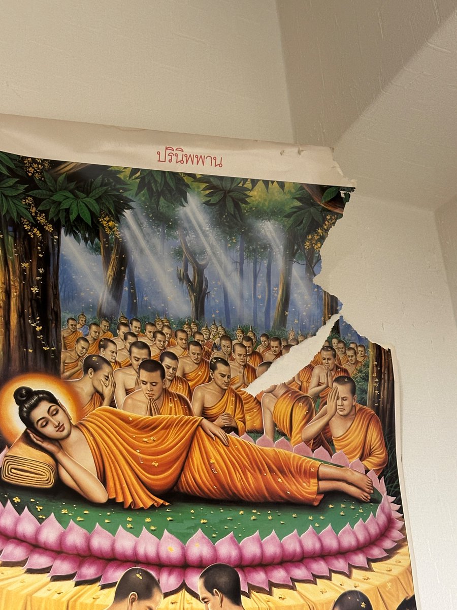 🐬TAMA2000🐬 tweet media