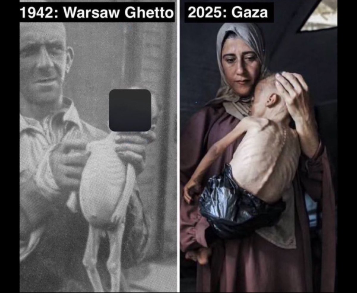 dreamcast emulator tweet media