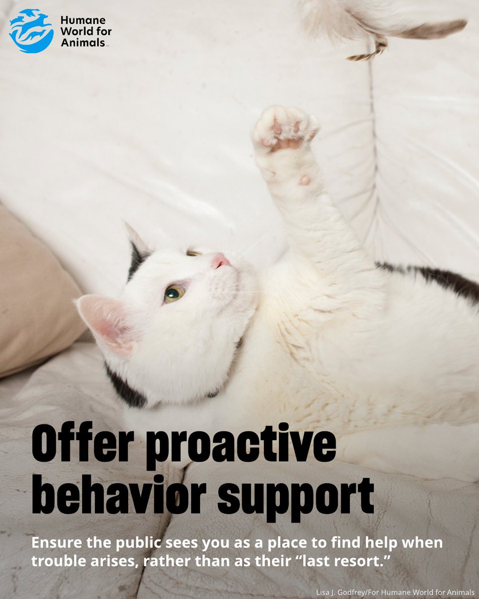 HumanePro tweet media