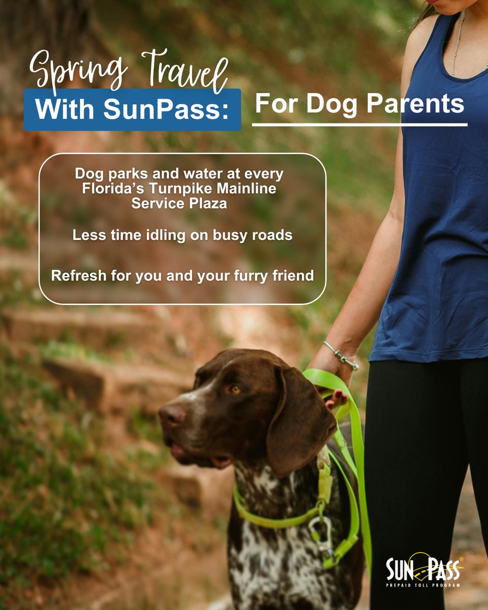 SunPass FDOT tweet media