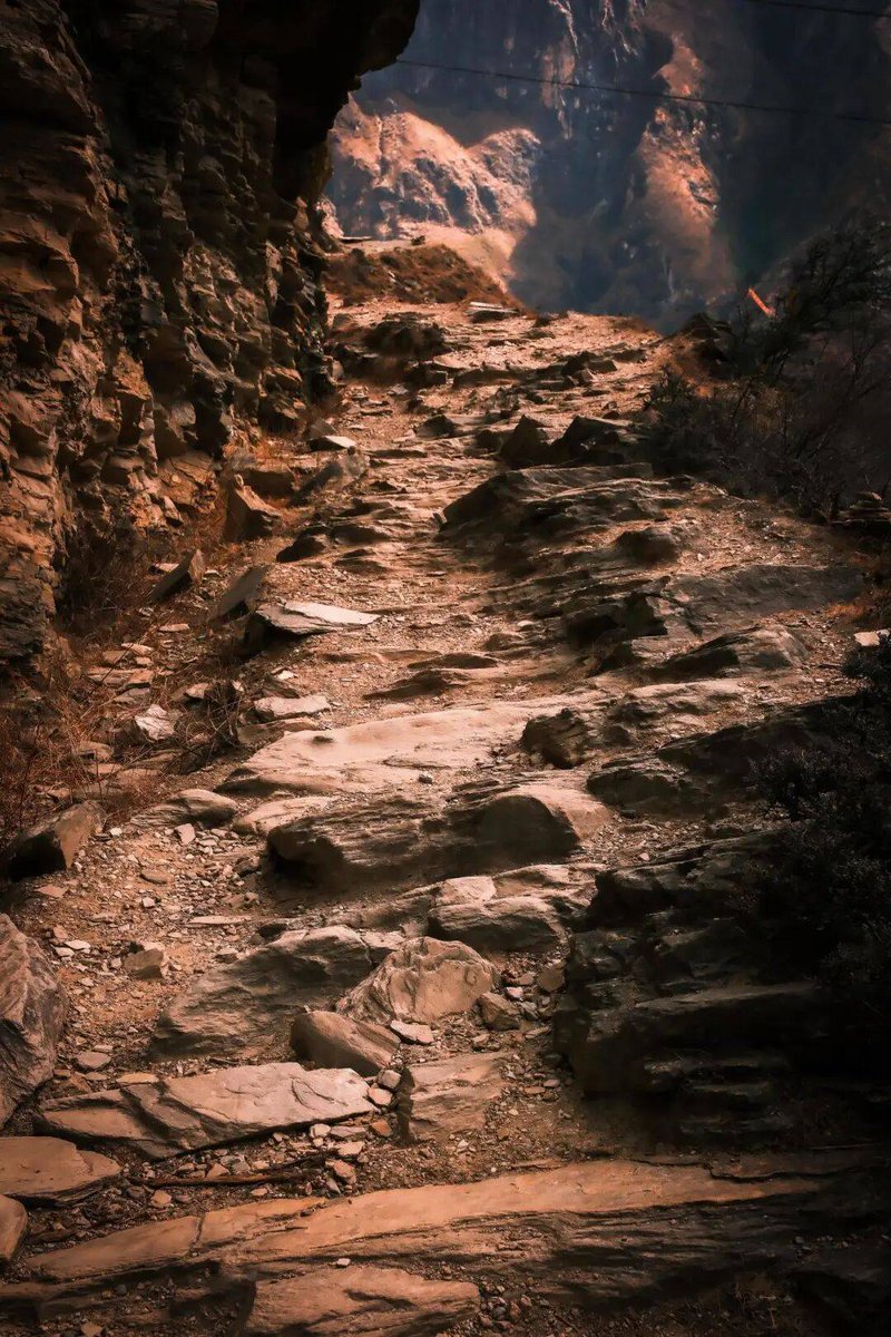 precillia tweet media