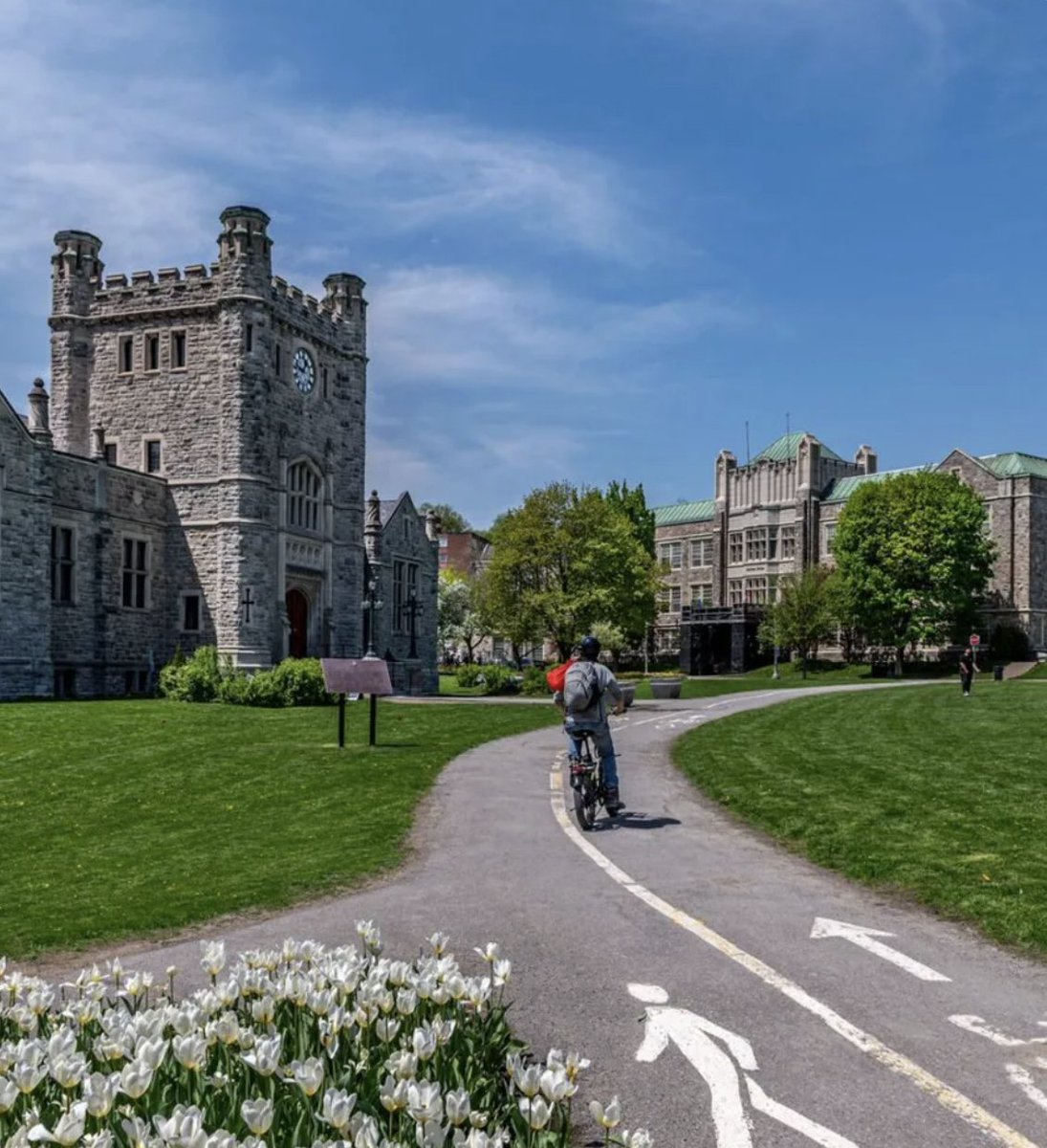 Montréal tweet media