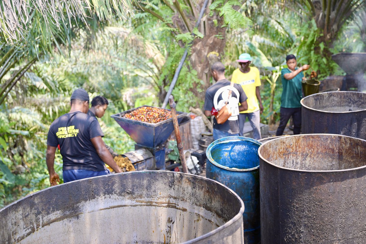 PNUD Cameroun tweet media