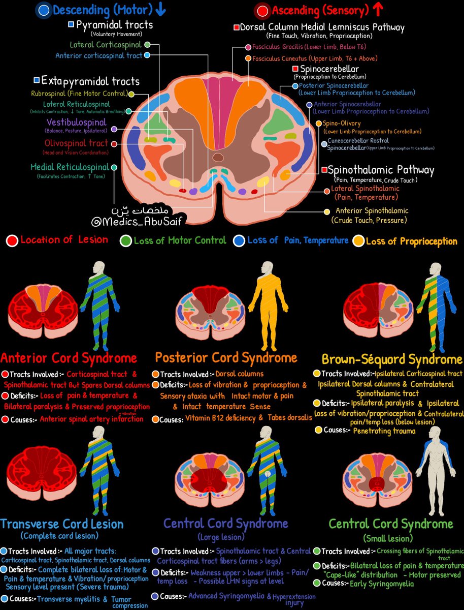 يـزّن الغماس tweet media