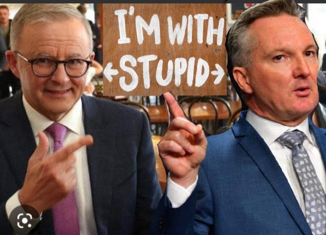 David Fox 🇦🇺 tweet media