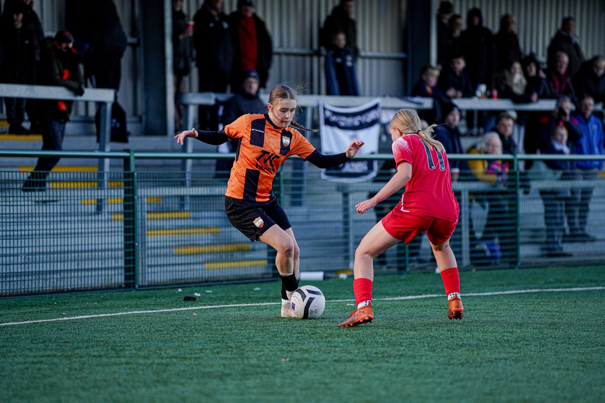 London Bees 🐝 tweet media