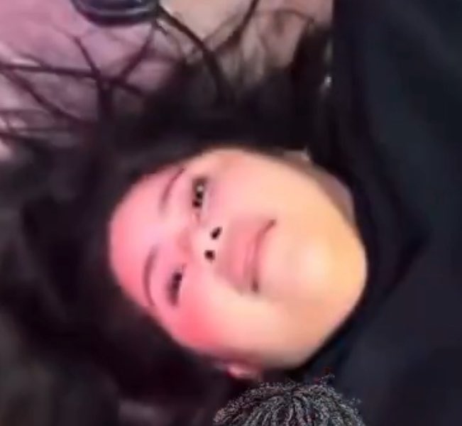 Silverbug tweet media