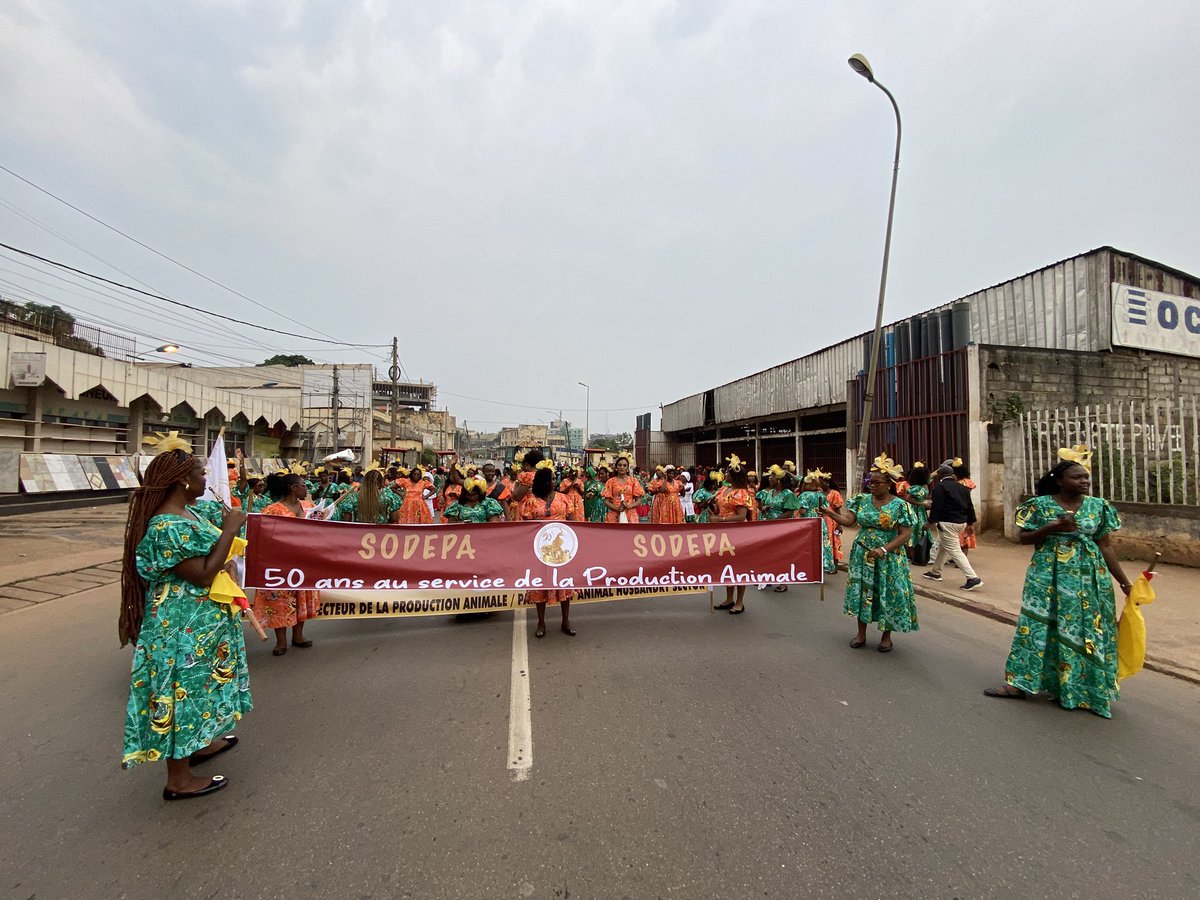 SODEPACmr's tweet photo. Retour en images de la Clôture des activités liées à la Journée Internationale des Droits de la Femme à la SODEPA.
Un défilé haut en couleurs en journée et des festivités riches en émotions dans l’après-midi.
#womenweek
#sodepa https://t.co/zNaX9PLVw5