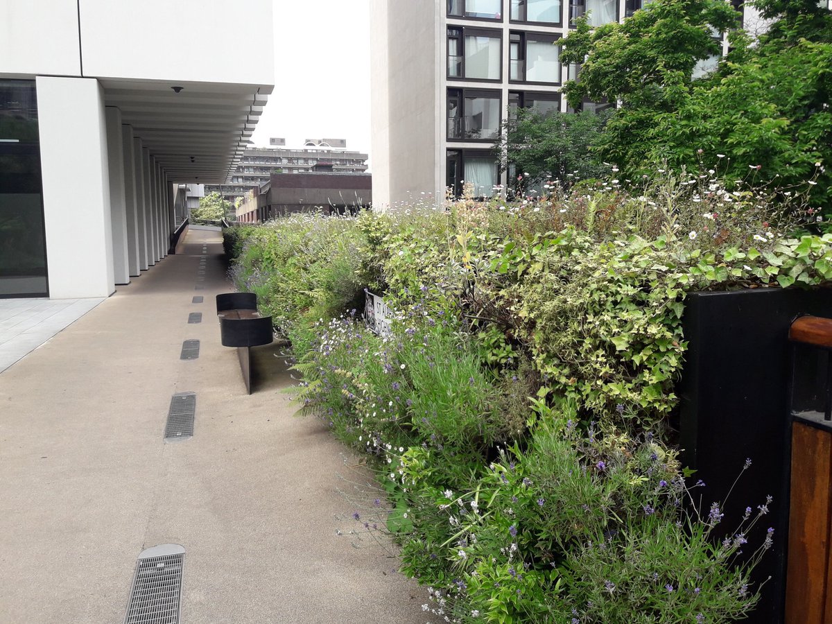 Susan Baker tweet media