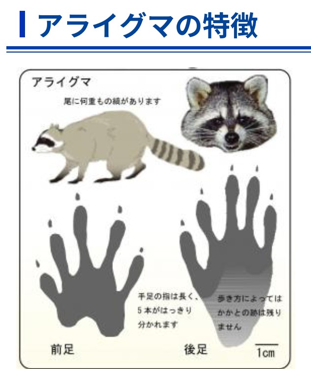 西郷憲一郎(Kenichiro Saigo) tweet media