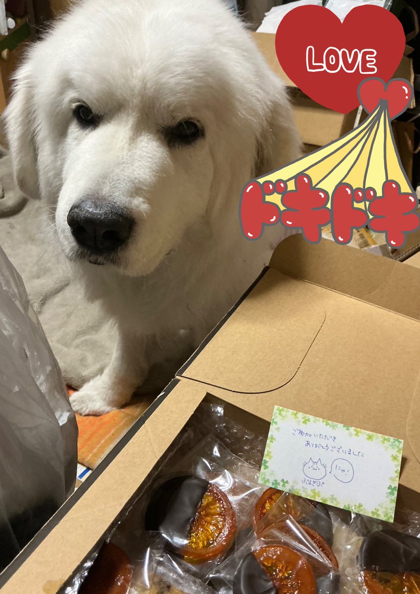 Akiko Naitoh tweet media