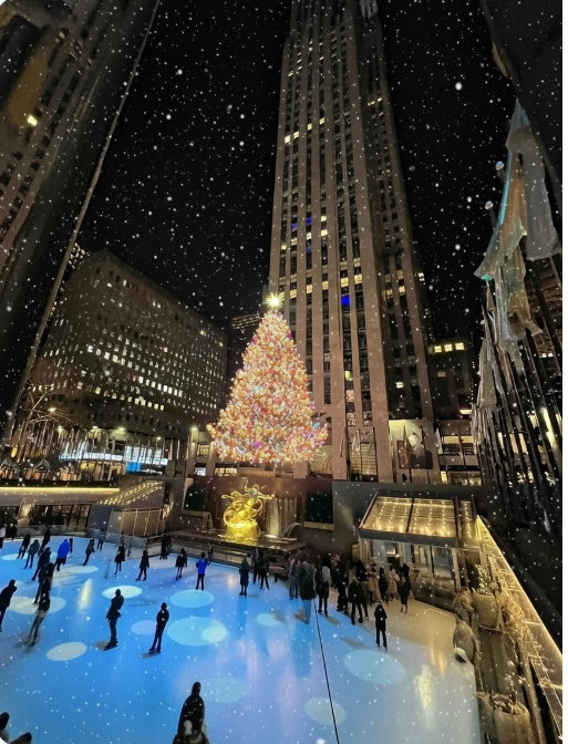 Harry Haller tweet media