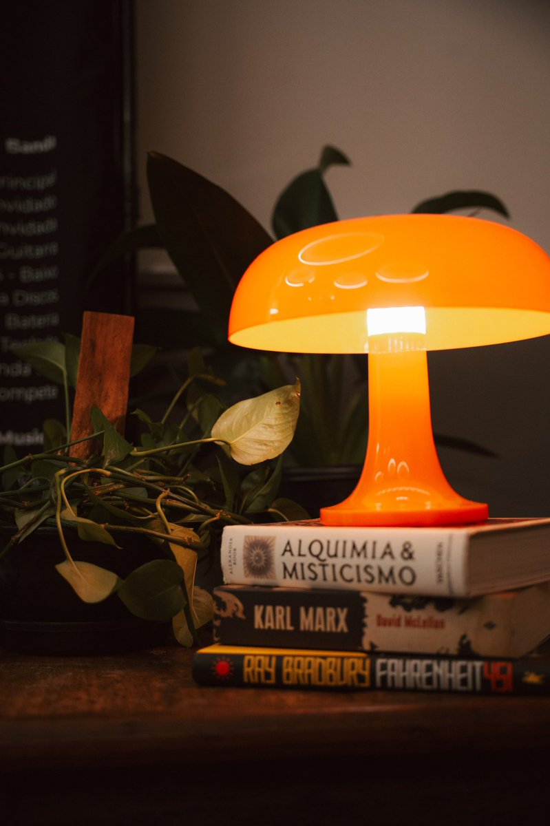 Knustinho tweet media