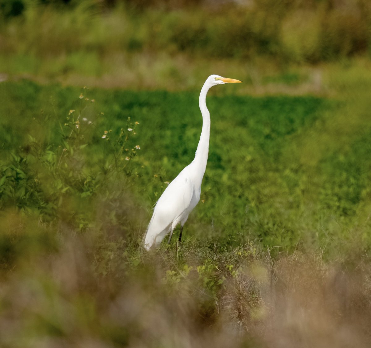 Dan Cabela tweet media