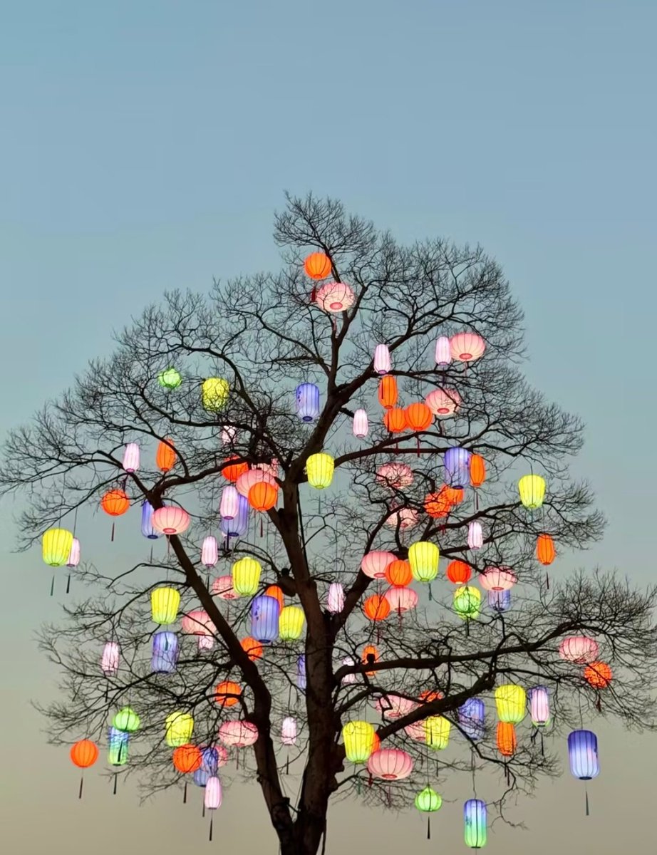 Trick or Treat(互fo) tweet media