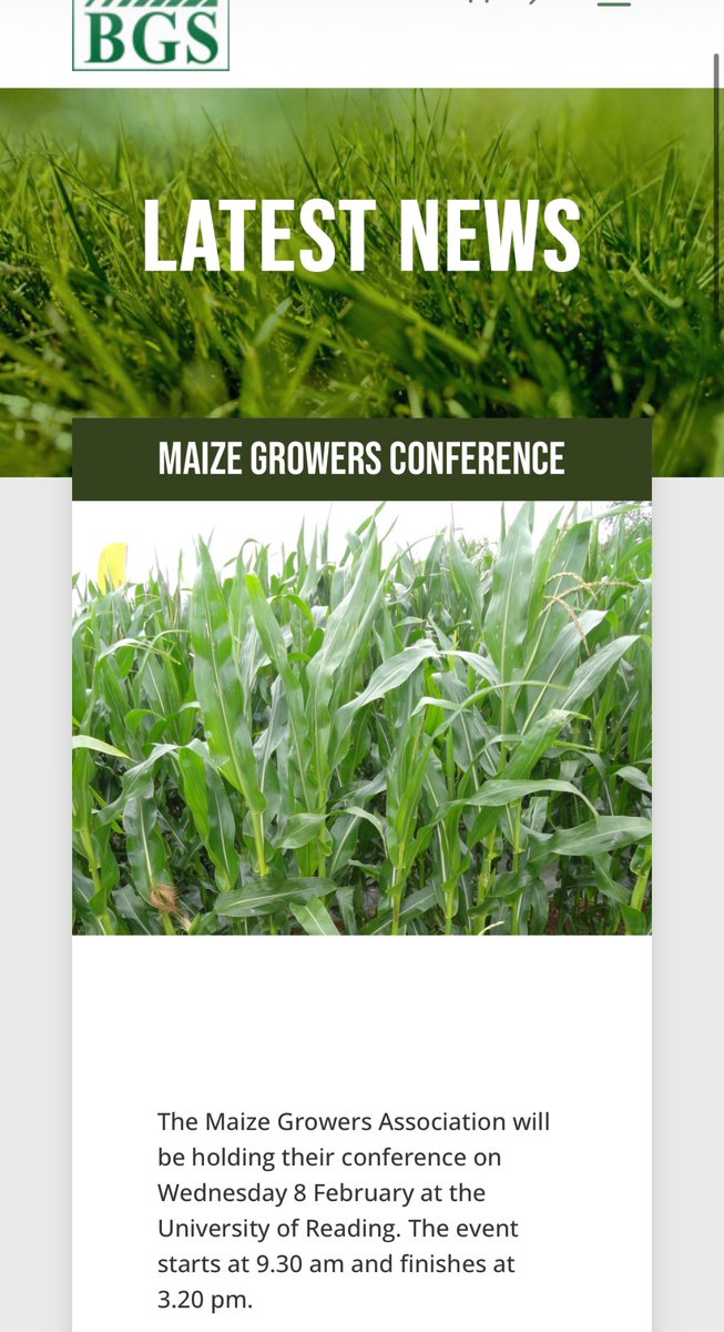 Sebastian Rees tweet media