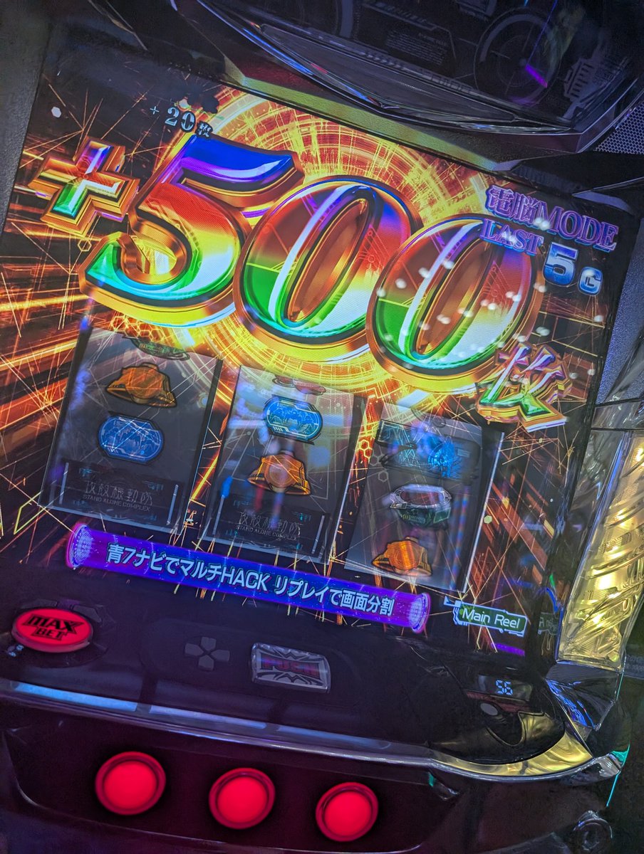 ぬきこ🦖 tweet media