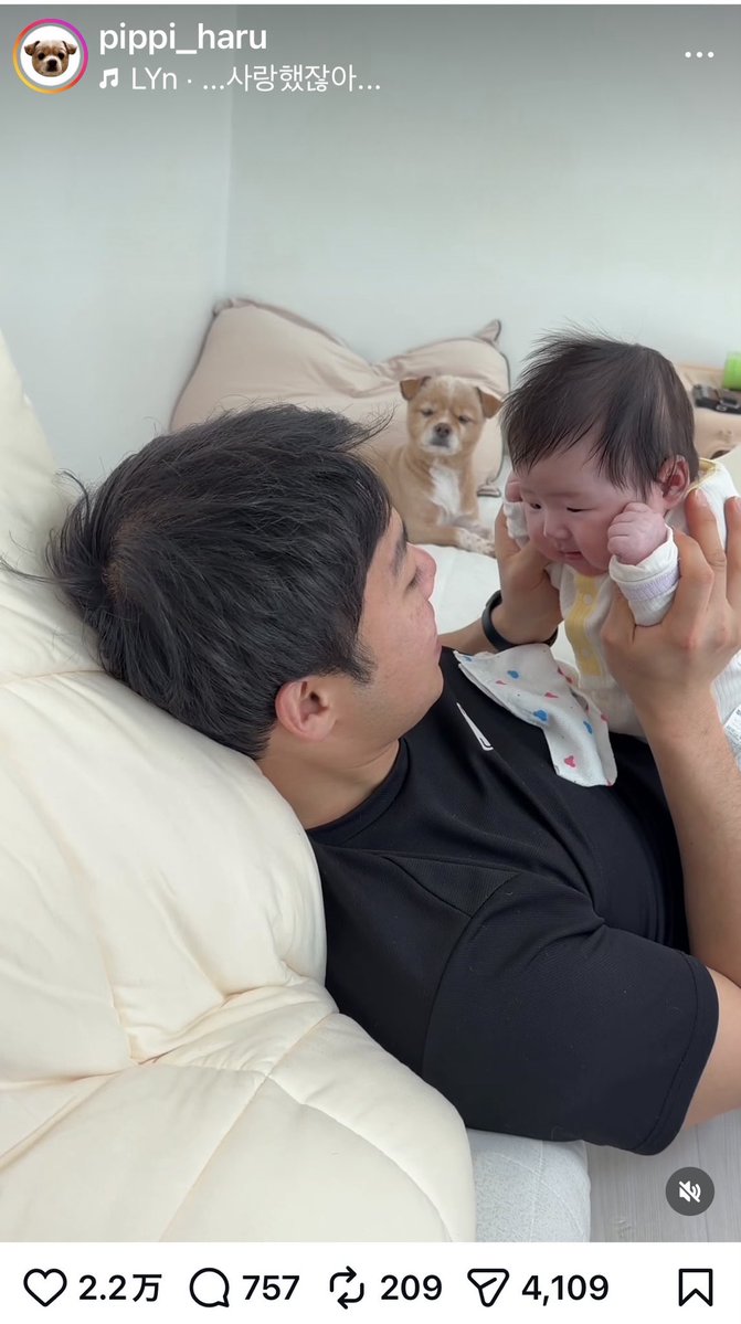 ぴーち（若返りオタクの愛犬家） tweet media