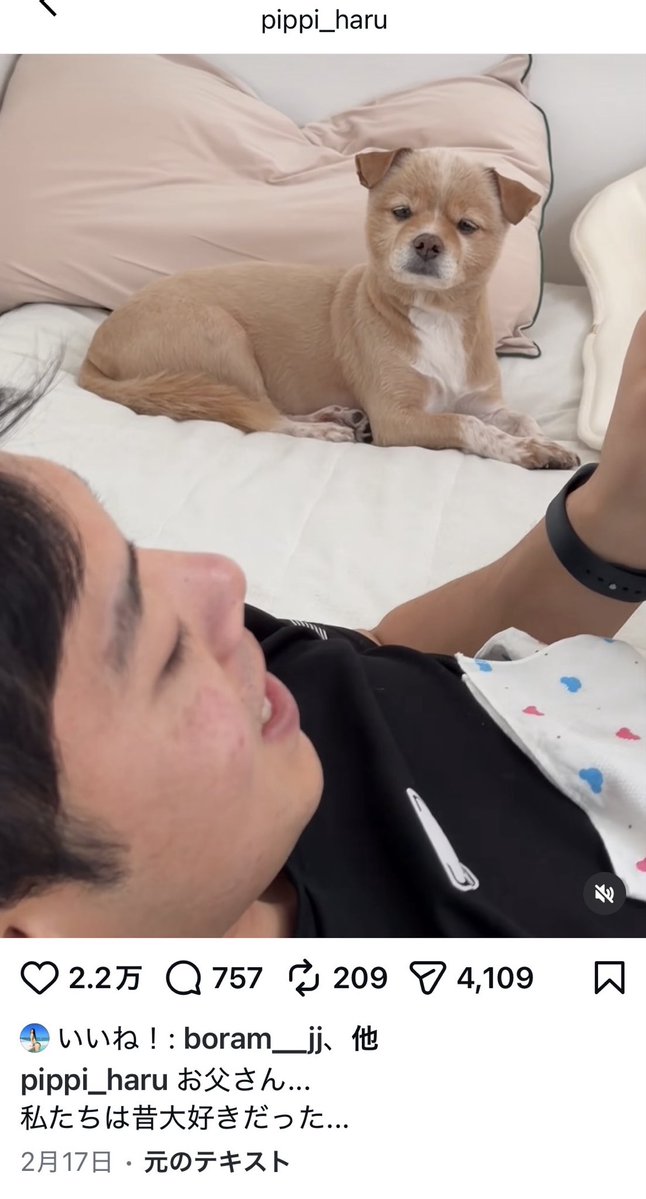 ぴーち（若返りオタクの愛犬家） tweet media