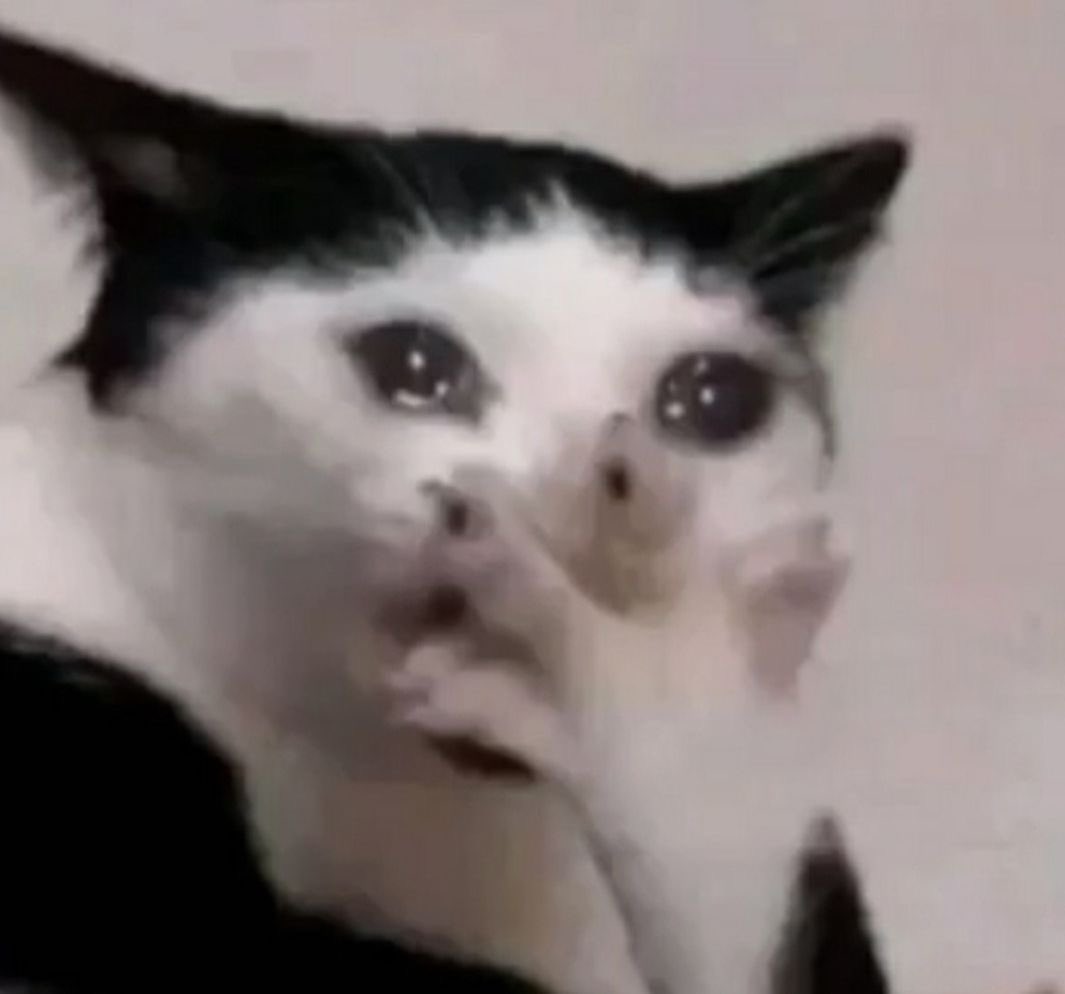 han/ham/hans 👻🔦 tweet media