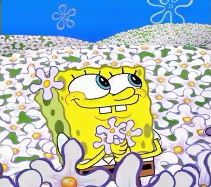 han/ham/hans 👻🔦 tweet media